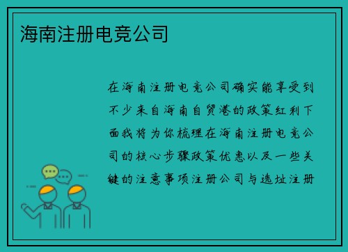 海南注册电竞公司